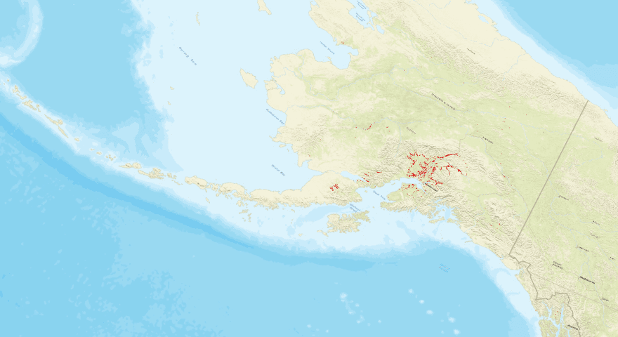 Bark beetle kill in AK
