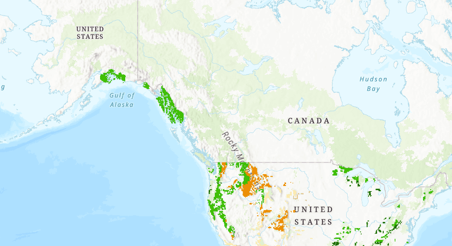 Carbon Density and Percent Carbon Stock Change